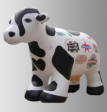 vue de profil d'une vache gonflable prête à égayer un évènement
